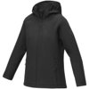 Notus gewatteerd softshell damesjas Notus gewatteerd softshell damesjas