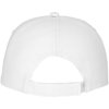 Feniks 5 panel cap Feniks 5 panel cap