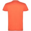 Beagle herenshirt met korte mouwen