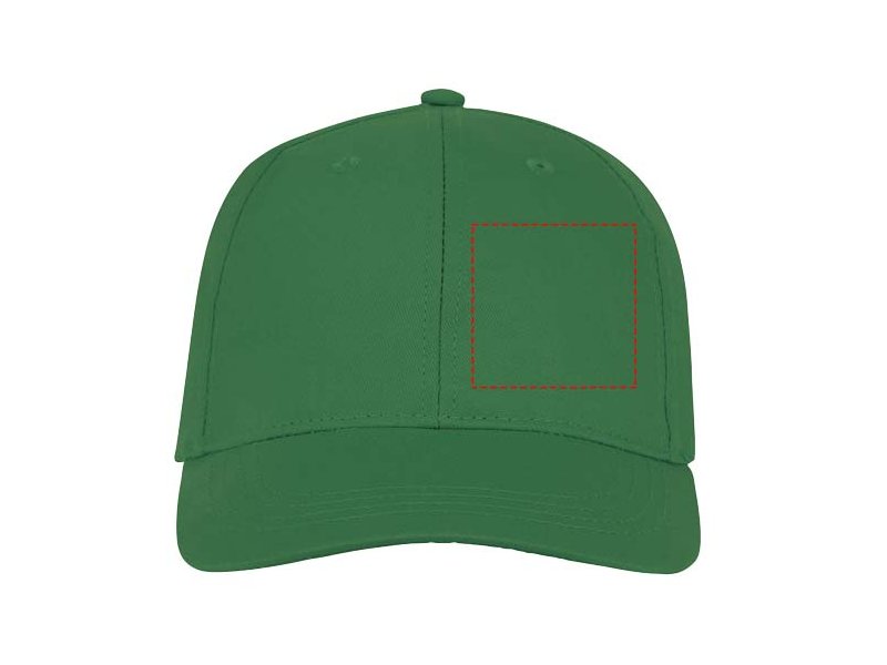 Ares 6 panel cap