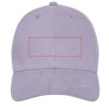 Davis 6 panel cap