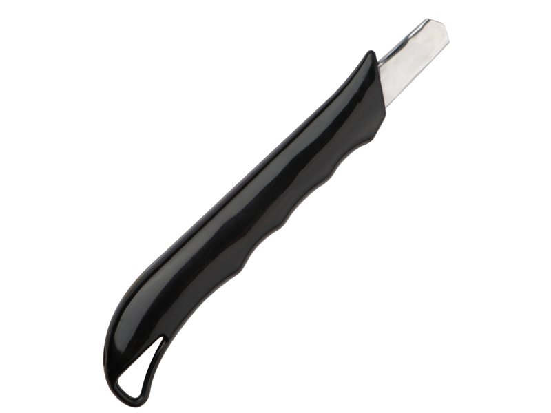 Veiligheidsmesje Wangerooge