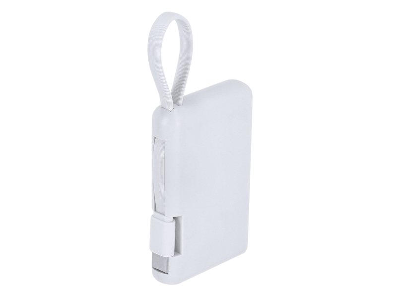 Power Bank Brandin