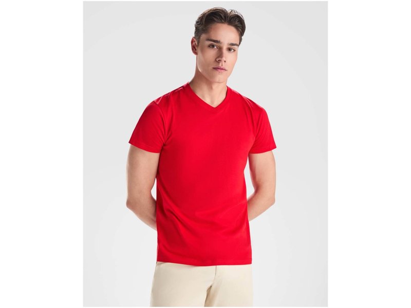 Samoyedo herenshirt met V-hals en korte mouwen Samoyedo herenshirt met V-hals en korte mouwen