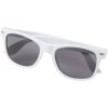 Sun Ray RPET Zonnebril laten personaliseren – Duurzame promotiezonnebril | GiftsDirect Sun Ray RPET Zonnebril laten personaliseren – Duurzame promotiezonnebril | GiftsDirect