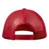 Pet Clipak Pet Clipak