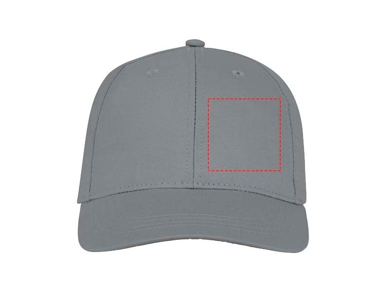 Ares 6 panel cap