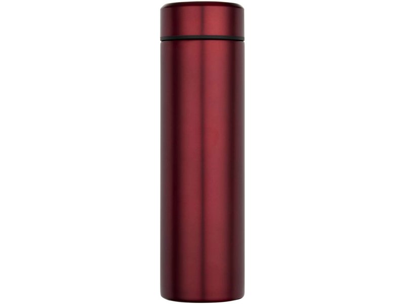 Taylor 450 ml dubbelwandige roestvrijstalen fles met theefilter