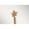 STARPEN - Bamboe balpen ster detail
