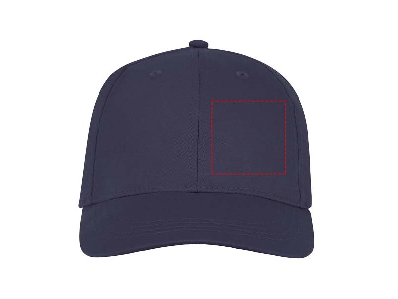 Ares 6 panel cap