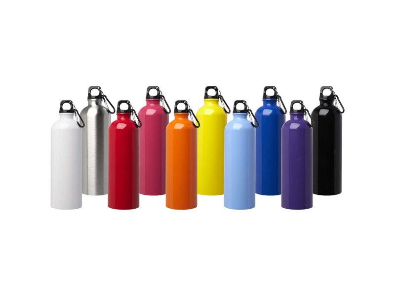 Oregon 750 ml RCS gecertificeerde enkelwandige roestvrijstalen waterfles met karabijnhaak