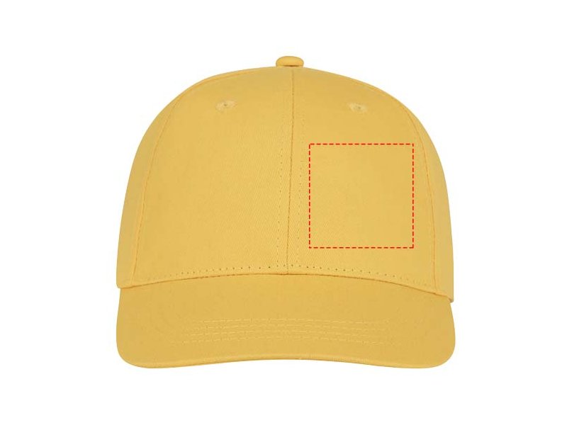 Ares 6 panel cap