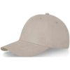 Davis 6 panel cap