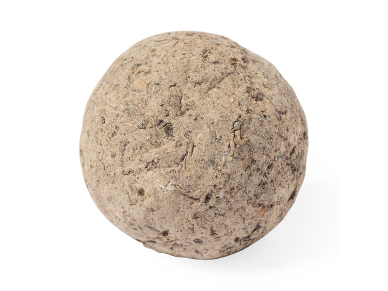 Bonbon Zaden Mussox Bonbon Zaden Mussox