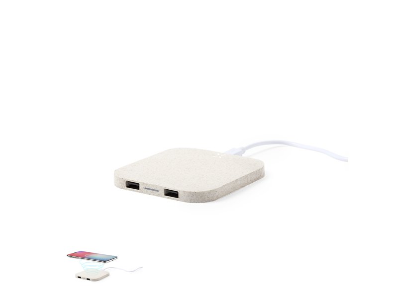 Oplader Riens 2.100 mAh bedrukken | Jouw relatiegeschenk & promotieartikel Oplader Riens 2.100 mAh bedrukken | Jouw relatiegeschenk & promotieartikel