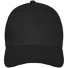 Davis 6 panel cap