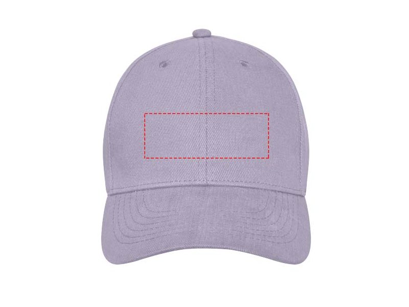 Davis 6 panel cap